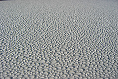 030903 USA Trip 2003 - Photo 0022