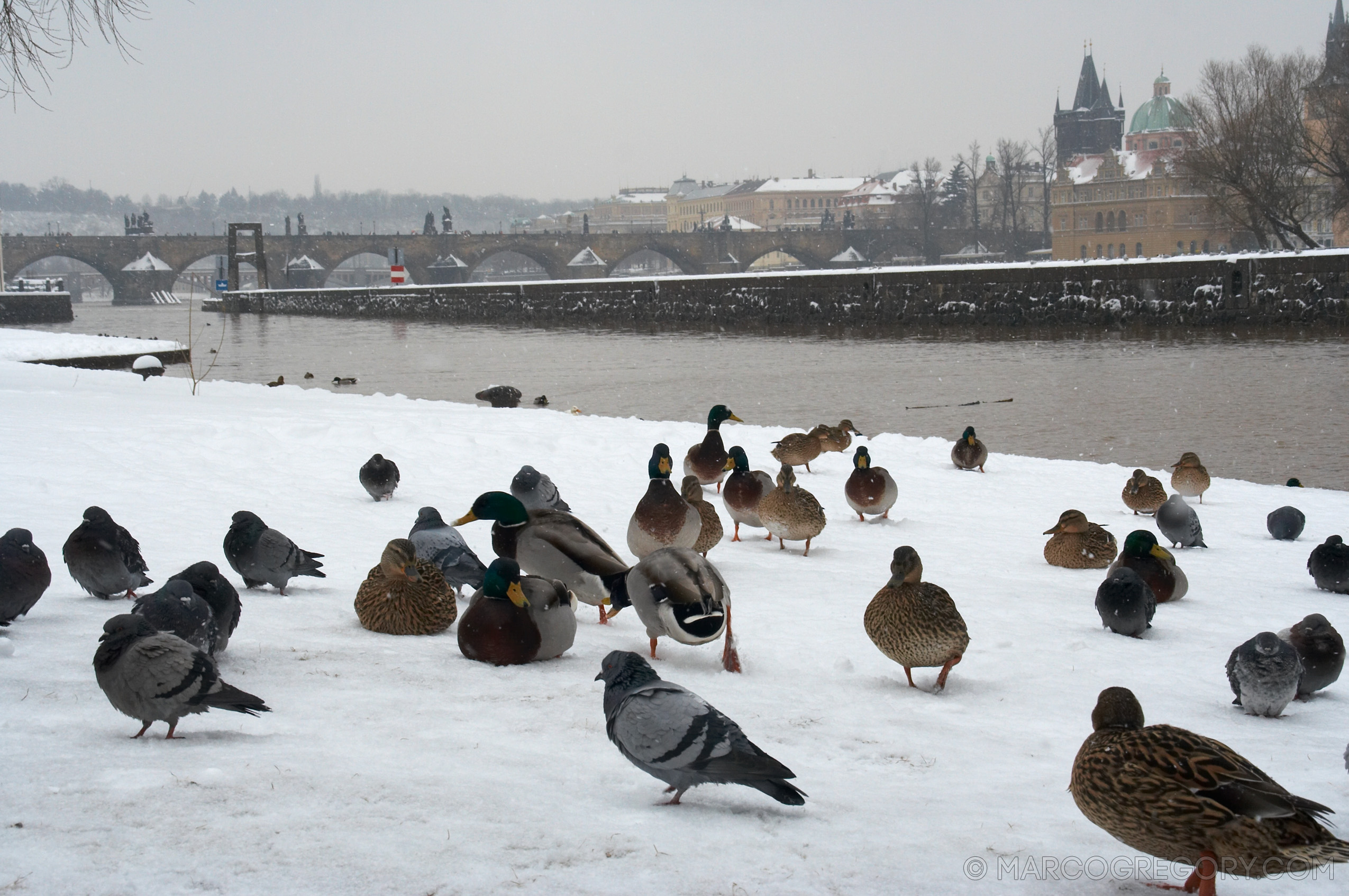 060312 Prague Winter - Photo0047 of 85