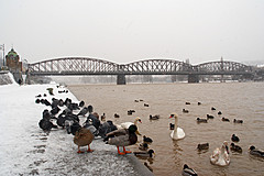 060312 Prague Winter - Photo 0001