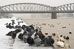 060312 Prague Winter - Photo 0005