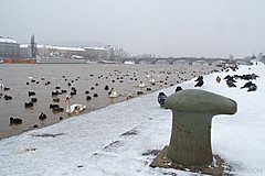 060312 Prague Winter - Photo 0012