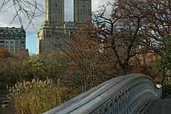 061103 New York 2006 - Photo 0503