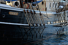 070131 Sydney 2007 - Photo 0053