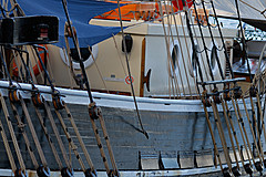 070131 Sydney 2007 - Photo 0054