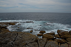 070131 Sydney 2007 - Photo 0136
