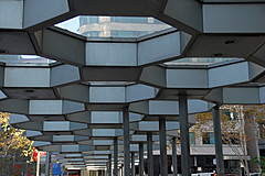 070131 Sydney 2007 - Photo 0191
