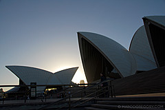 070131 Sydney 2007 - Photo 0218