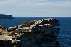070131 Sydney 2007 - Photo 0274