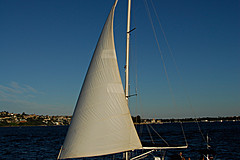 070131 Sydney 2007 - Photo 0281