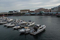 070131 Sydney 2007 - Photo 0314