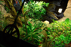 070131 Sydney 2007 - Photo 0331