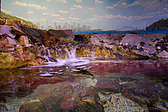 070131 Sydney 2007 - Photo 0336