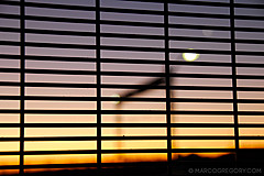 070131 Sydney 2007 - Photo 0372