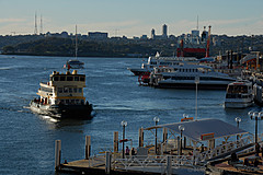 070131 Sydney 2007 - Photo 0426