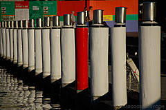 070131 Sydney 2007 - Photo 0449