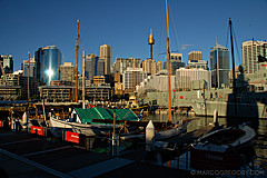 070131 Sydney 2007 - Photo 0475
