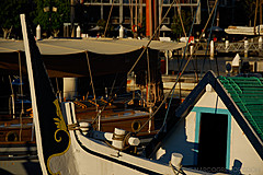 070131 Sydney 2007 - Photo 0477