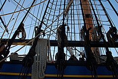 070131 Sydney 2007 - Photo 0480