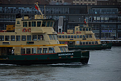 070131 Sydney 2007 - Photo 0519