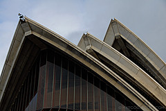 070131 Sydney 2007 - Photo 0547