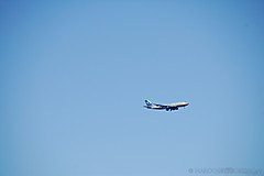 070131 Sydney 2007 - Photo 0615