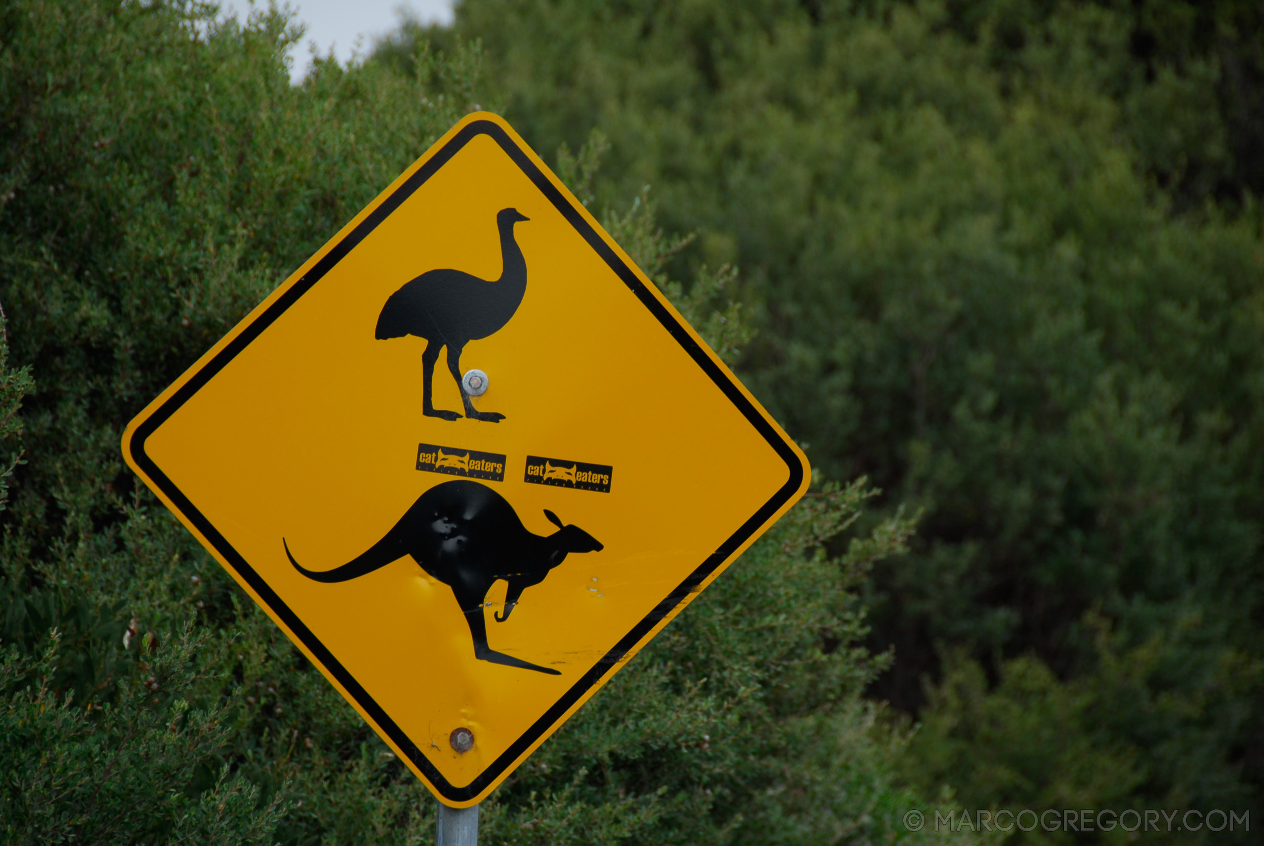 070226 Australia 2007 - Photo0924 of 1241