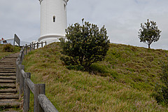 070226 Australia 2007 - Photo 0017