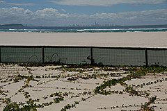 070226 Australia 2007 - Photo 0046
