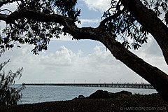 070226 Australia 2007 - Photo 0049