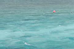 070226 Australia 2007 - Photo 0117