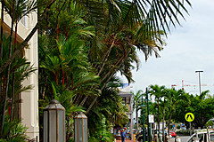 070226 Australia 2007 - Photo 0166
