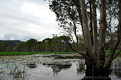 070226 Australia 2007 - Photo 0192