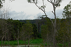 070226 Australia 2007 - Photo 0194