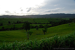 070226 Australia 2007 - Photo 0197