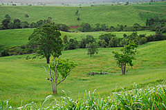 070226 Australia 2007 - Photo 0198