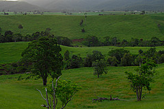 070226 Australia 2007 - Photo 0200