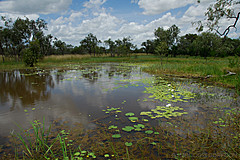 070226 Australia 2007 - Photo 0231