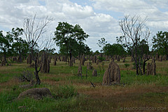 070226 Australia 2007 - Photo 0238