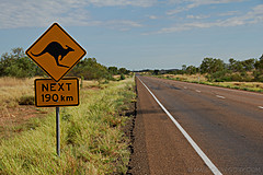 070226 Australia 2007 - Photo 0266
