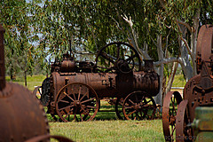 070226 Australia 2007 - Photo 0293
