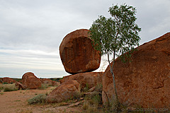 070226 Australia 2007 - Photo 0301
