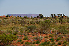 070226 Australia 2007 - Photo 0352