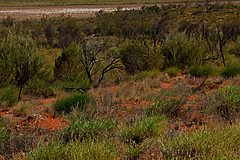 070226 Australia 2007 - Photo 0358