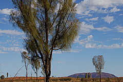 070226 Australia 2007 - Photo 0360