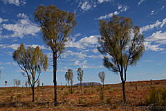 070226 Australia 2007 - Photo 0362