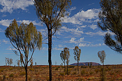 070226 Australia 2007 - Photo 0363