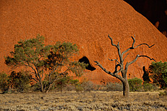070226 Australia 2007 - Photo 0384