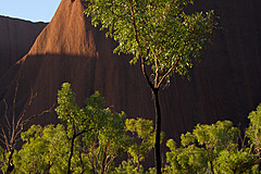070226 Australia 2007 - Photo 0391
