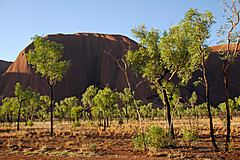 070226 Australia 2007 - Photo 0392