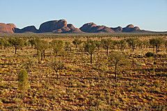 070226 Australia 2007 - Photo 0411